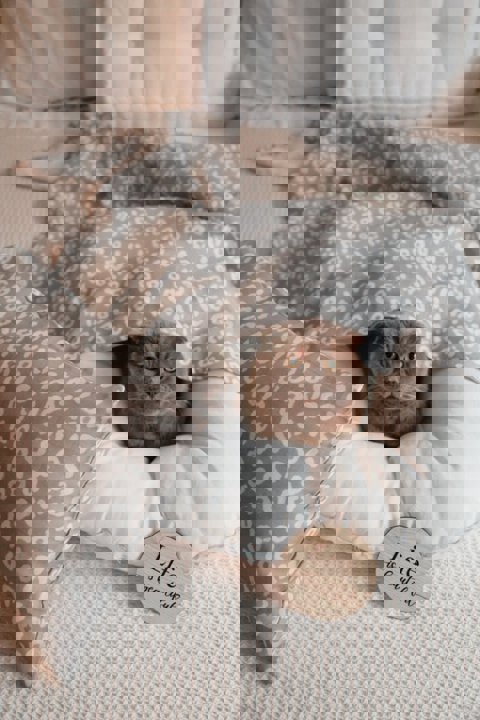 120X120Cm Organik Müslin Örtü, Yastık Kılıfı Ve Müslin Çanta Seti / Leopar