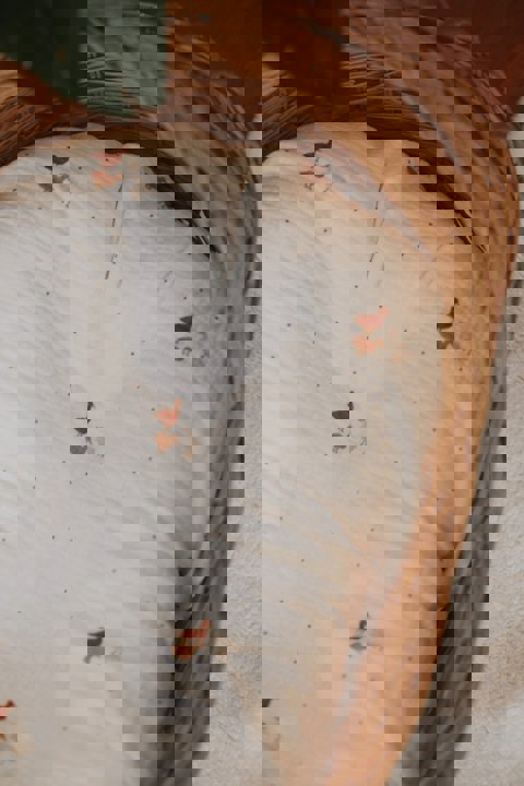 Goose Özel Tasarım 4 Katlı Müslin Bebek & Çocuk Battaniye 95X95Cm Ekru Zemin / Renkli